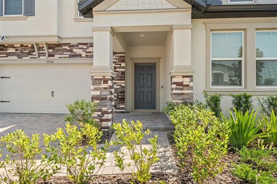 31954 Sapna Chime Drive, Wesley Chapel, FL 33545 - #3