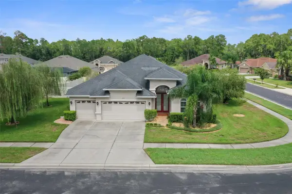 27211 Hawks Nest Circle, WESLEY CHAPEL, FL 33544