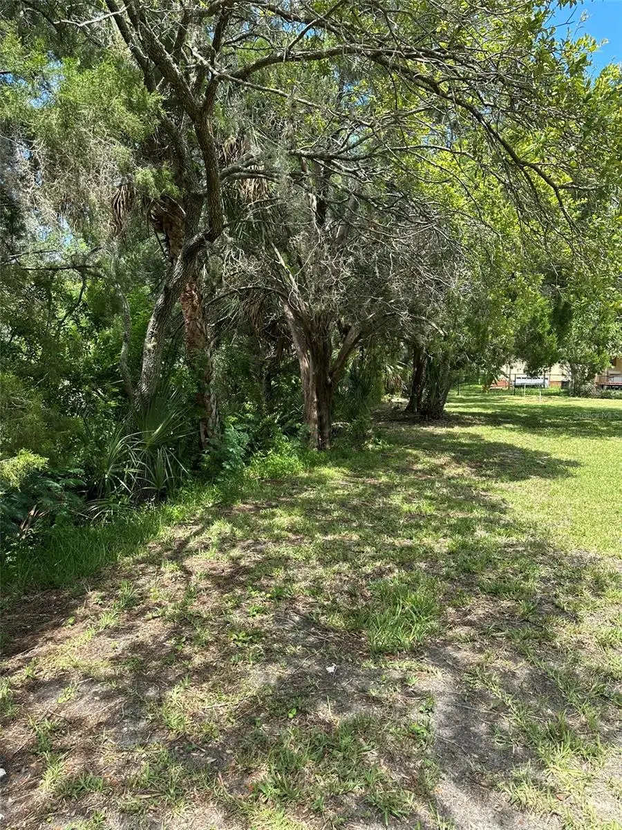 14569 Coral Dr, Hudson, FL 34667 - Image #3