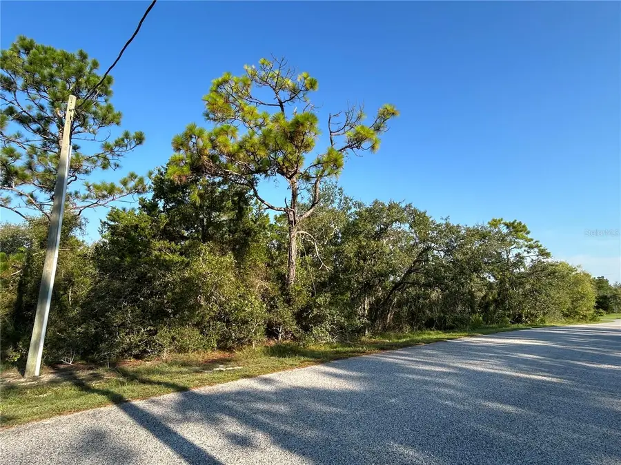 0 Nuzum Road, Weeki Wachee, FL 34613 - Image #2