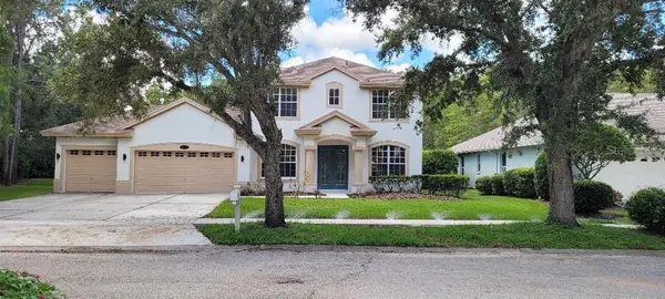 4802 Tea Rose Court, LUTZ, FL 33558