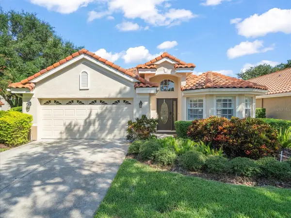 18921 Place Marquette, LUTZ, FL 33558