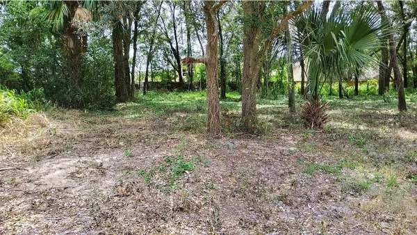 25050 Algonquin Avenue, MOUNT PLYMOUTH, FL 32776