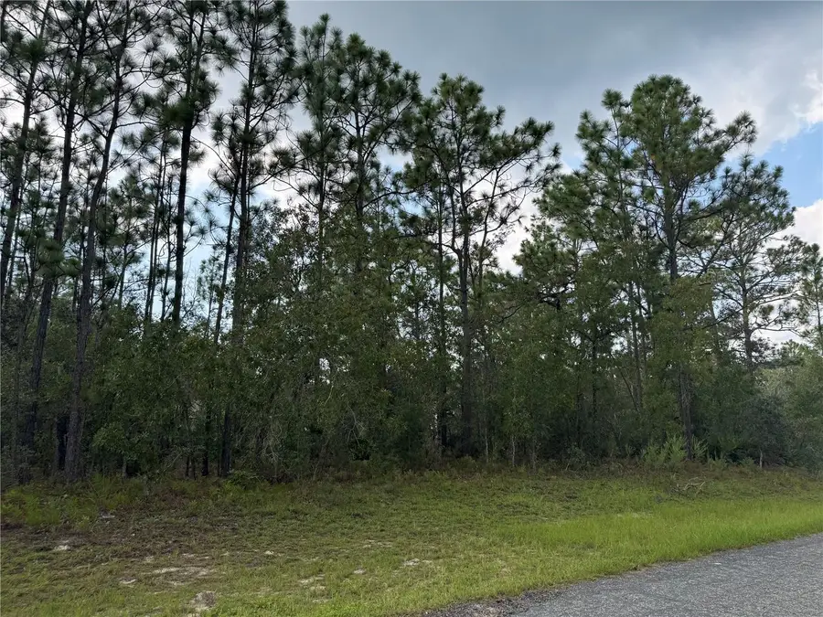 780 W Hummingbird Drive, Citrus Springs, FL 34434 - Image #3