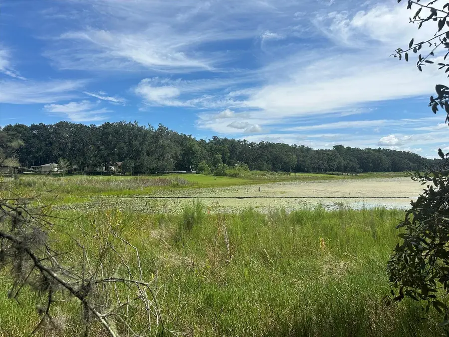 449 450 & E1/2 LOT 451 Sw Shorewood Drive, Dunnellon, FL 34431 - Image #2