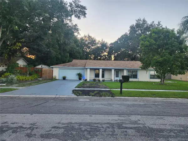 14216 Briarthorn Drive, TAMPA, FL 33625