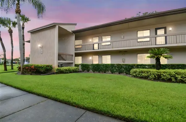 204 Mary Drive, OLDSMAR, FL 34677