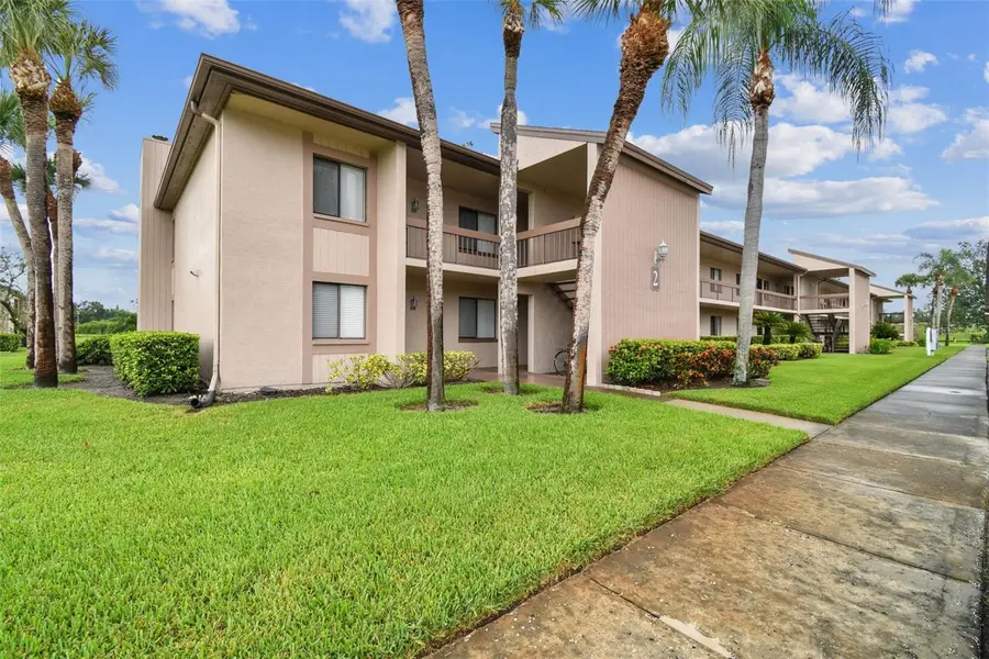 204 Mary Drive, Oldsmar, FL 34677 - Image #3