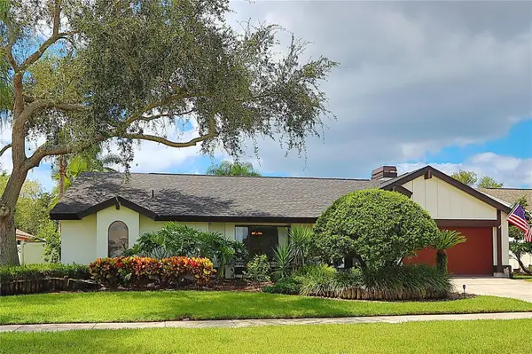 4168 Saltwater Boulevard, TAMPA, FL 33615