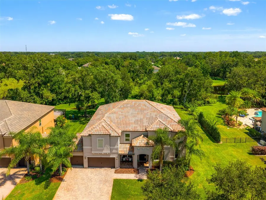 19813 Wellington Manor Boulevard, Lutz, FL 33549 - Image #3