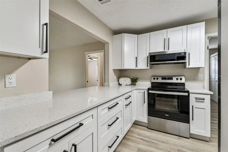 1805 Butterfly Place, Sun City Center, FL 33573 - Image #3