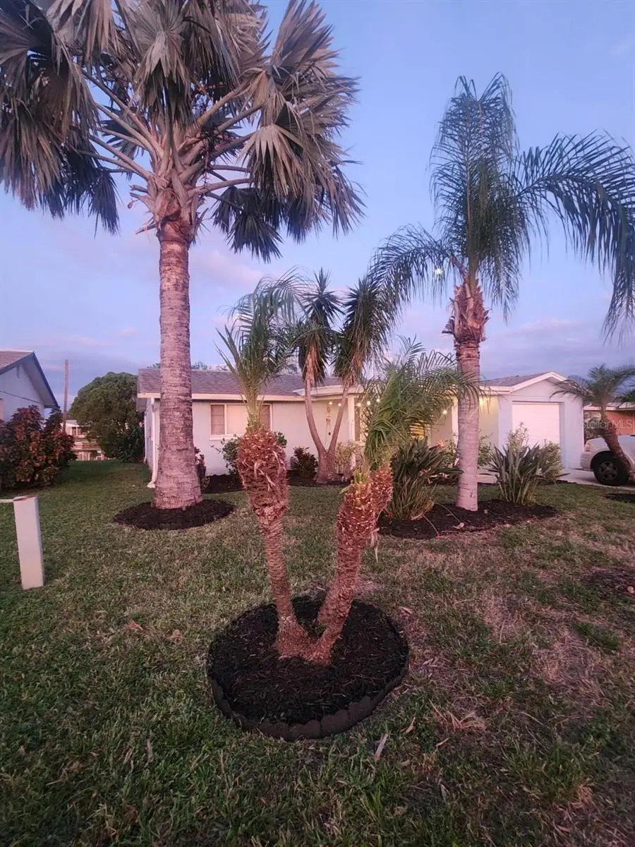 2228 Society Drive, Holiday, FL 34691 - Image #3