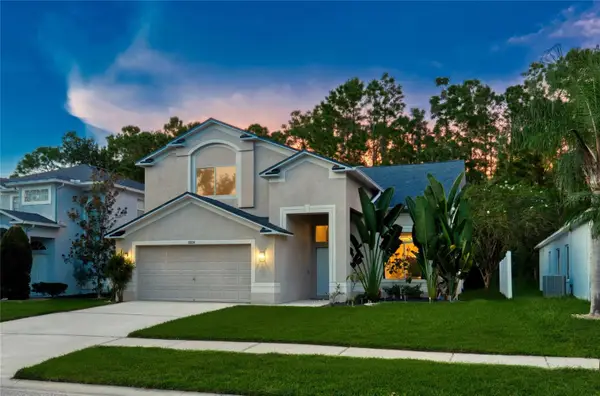 13234 Royal George Avenue, ODESSA, FL 33556