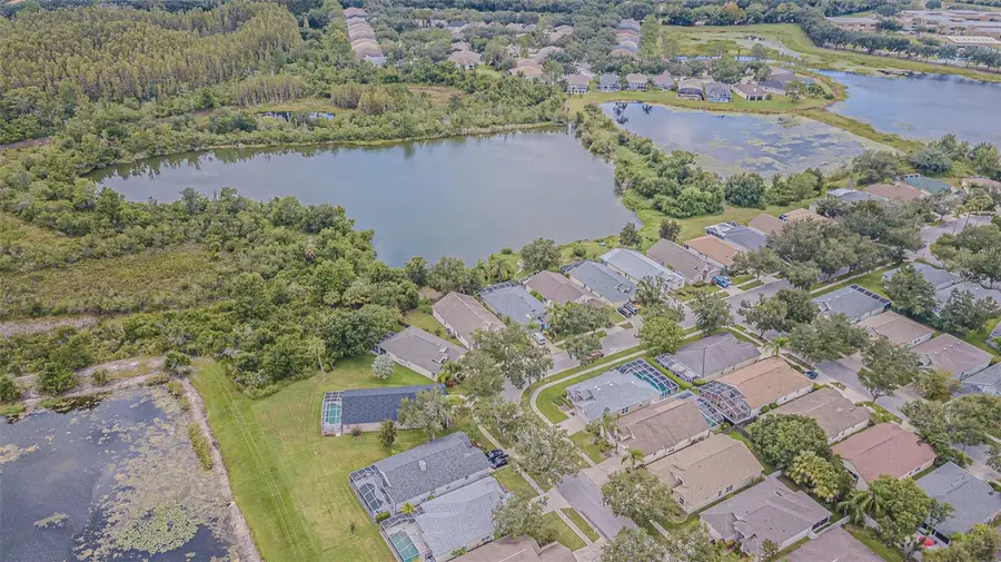 18024 Arbor Crest Drive, Tampa, FL 33647 - Image #3