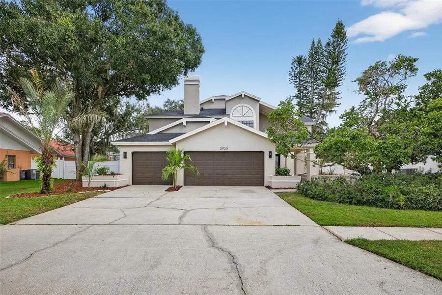 3956 Belmoor Drive, Palm Harbor, FL 34685 - Image #2