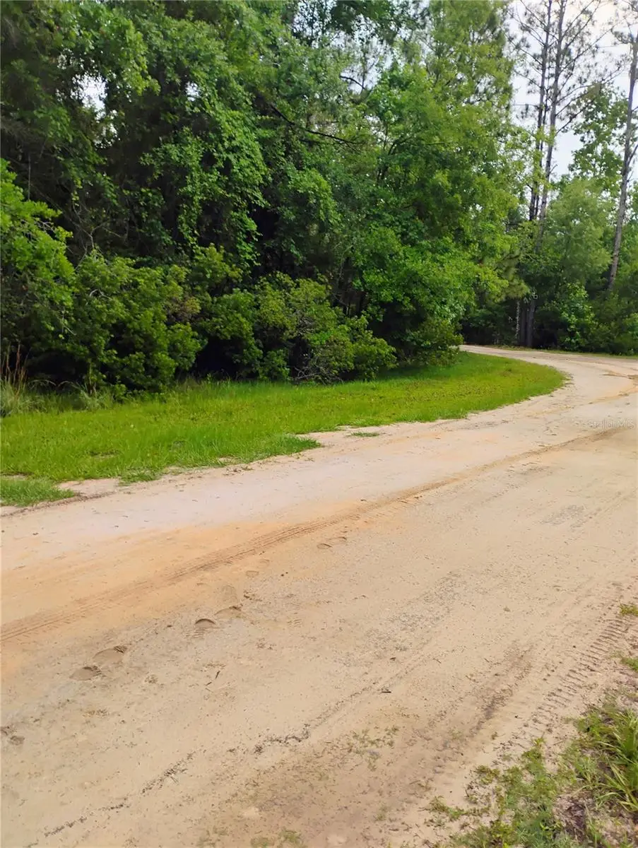 228 Atkins Road, Georgetown, FL 32139 - Image #1