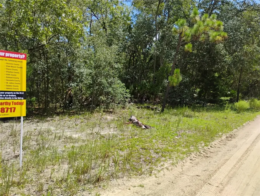 244 Thompson Avenue, Interlachen, FL 32148 - Image #3