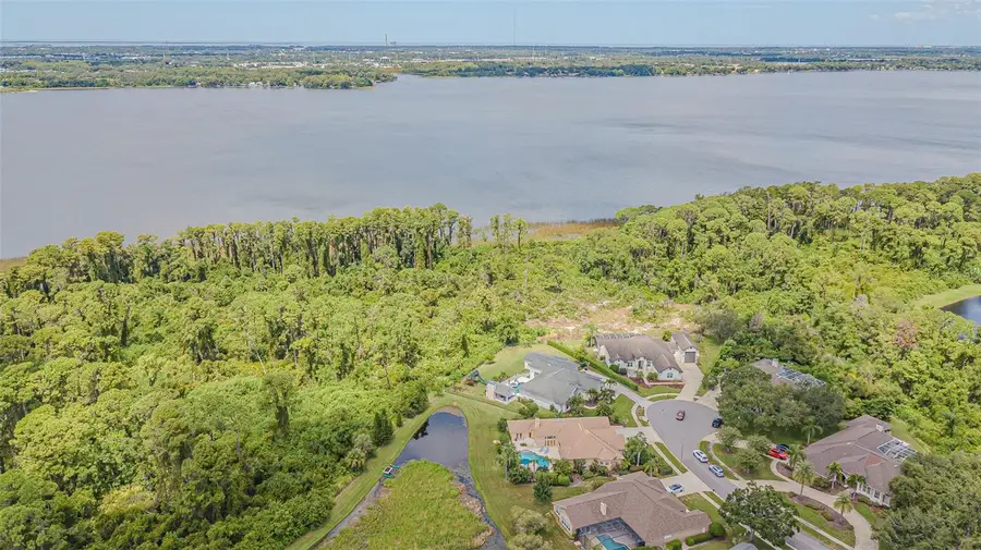 3550 Justin Drive, Palm Harbor, FL 34685 - Image #3