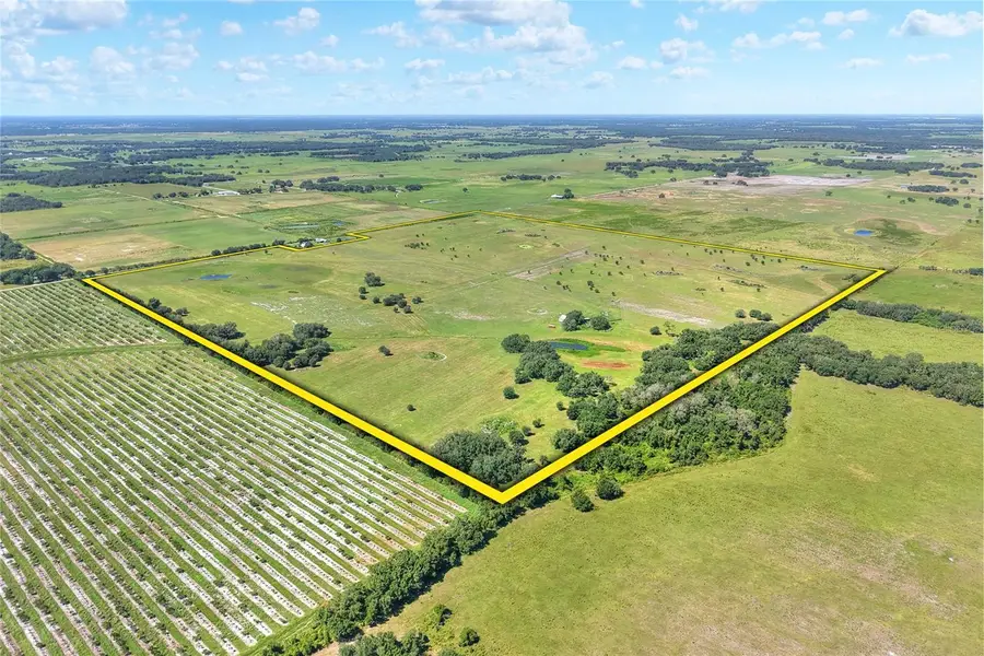 NW Limestone Heights Street, Arcadia, FL 34266 - Image #2