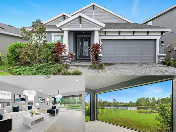 17714 Everlong Drive, LAND O LAKES, FL 34638