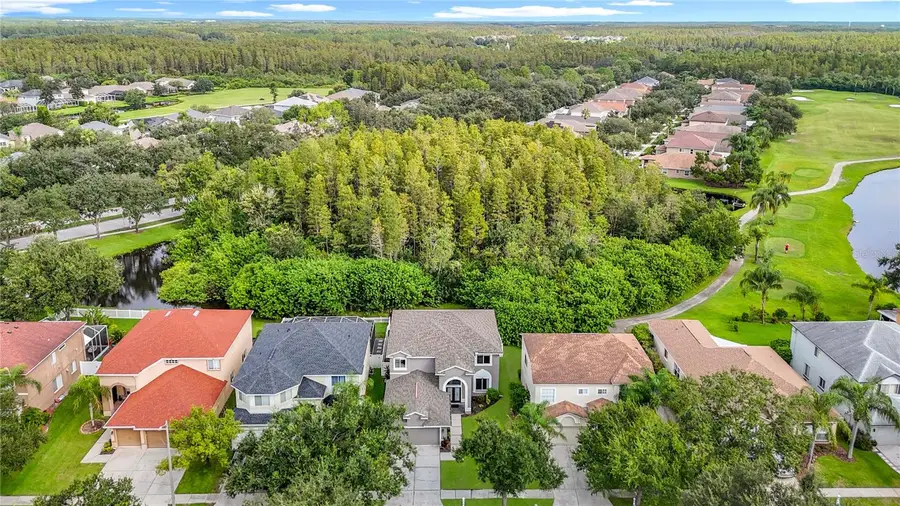 4219 Harbor Lake Drive, Lutz, FL 33558 - Image #2