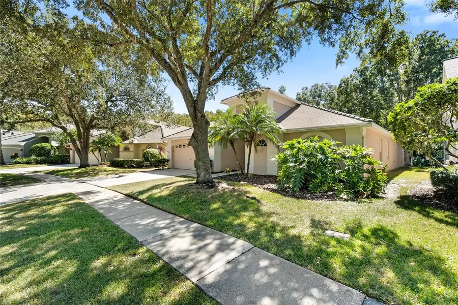 5542 Avenue Du Soleil, Lutz, FL 33558 - Image #3