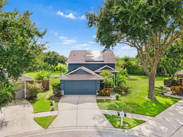 21014 Follensby Court, LAND O LAKES, FL 34637
