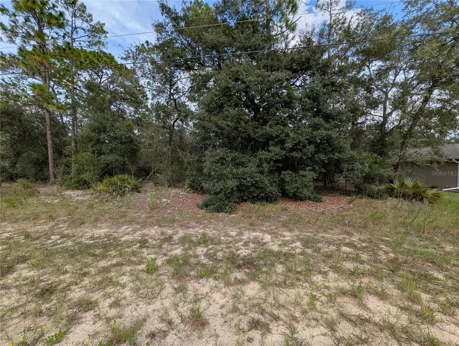 6299 N Allston Terrace, Citrus Springs, FL 34433 - Image #2