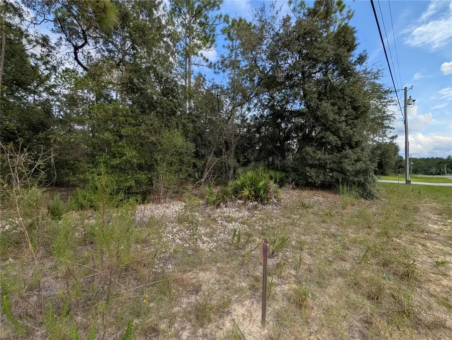 6299 N Allston Terrace, Citrus Springs, FL 34433 - Image #3