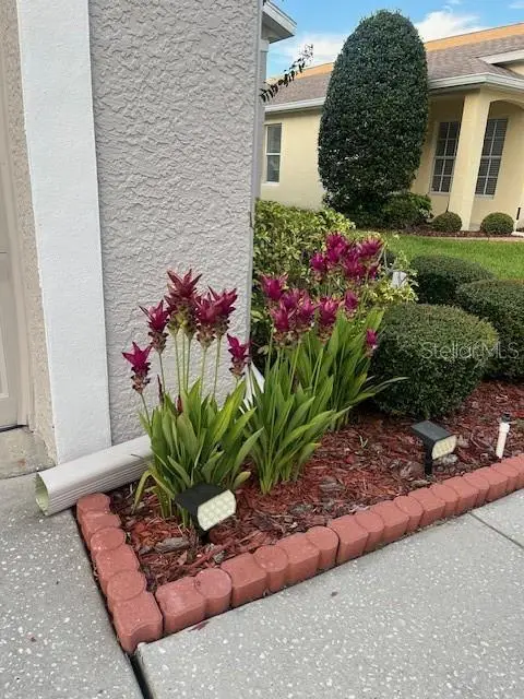 2900 Banyan Hill Lane, Land O Lakes, FL 34639 - Image #3