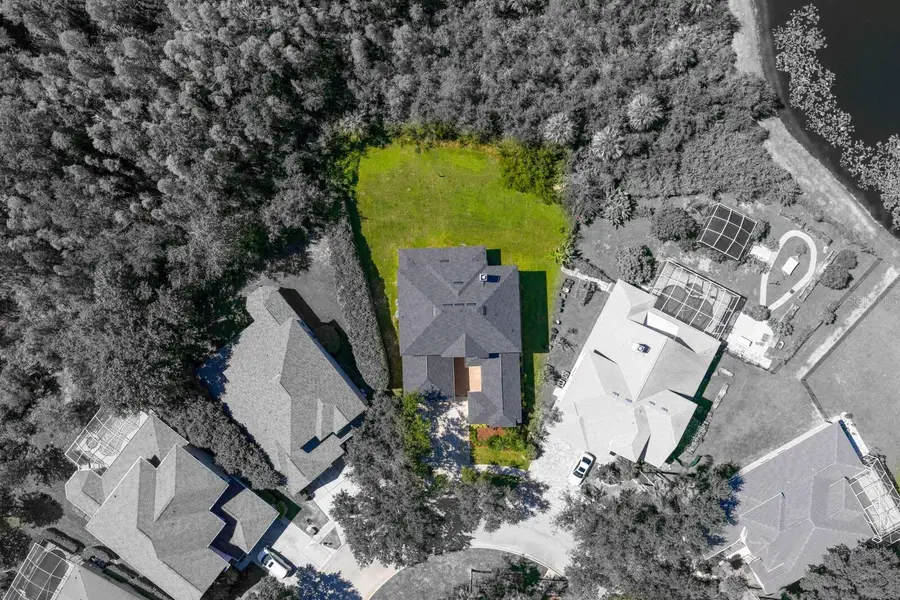 10103 Evergreen Hill Drive, Tampa, FL 33647 - Image #3