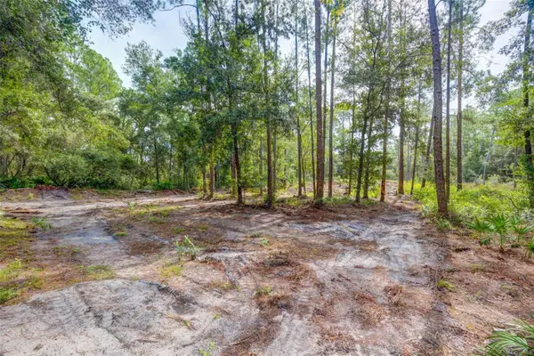 34389 Grindstone Drive, WEBSTER, FL 33597