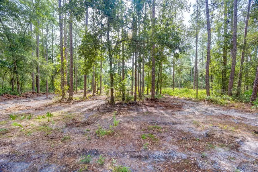 34389 Grindstone Drive, Webster, FL 33597 - Image #2