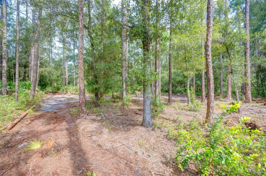 34389 Grindstone Drive, Webster, FL 33597 - Image #3