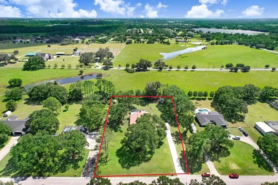 13113 Lilita Avenue, Dover, FL 33527 - Image #3