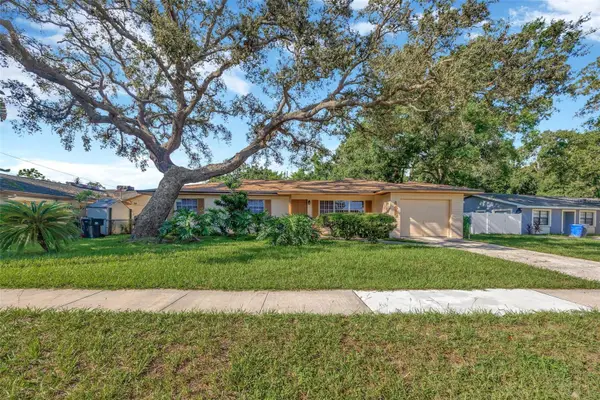 4429 Dolphin Drive, TAMPA, FL 33617