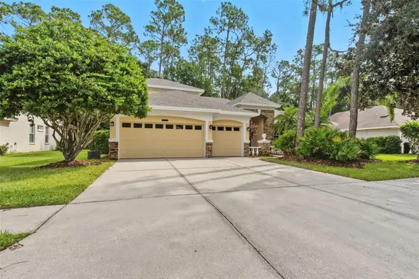 5108 Dunham Creek Place, BRANDON, FL 33511