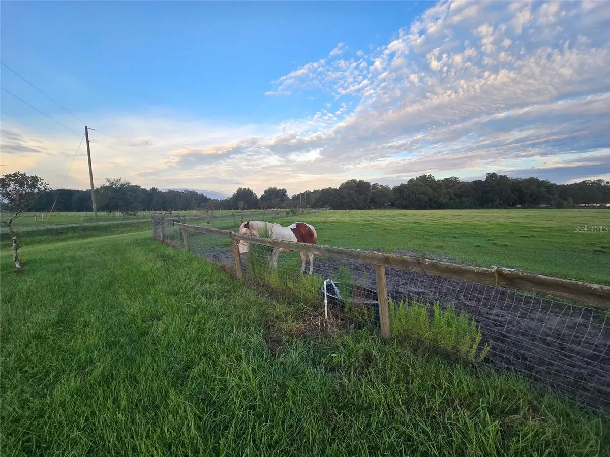 9233 SE 12th Drive, Webster, FL 33597 - Image #1