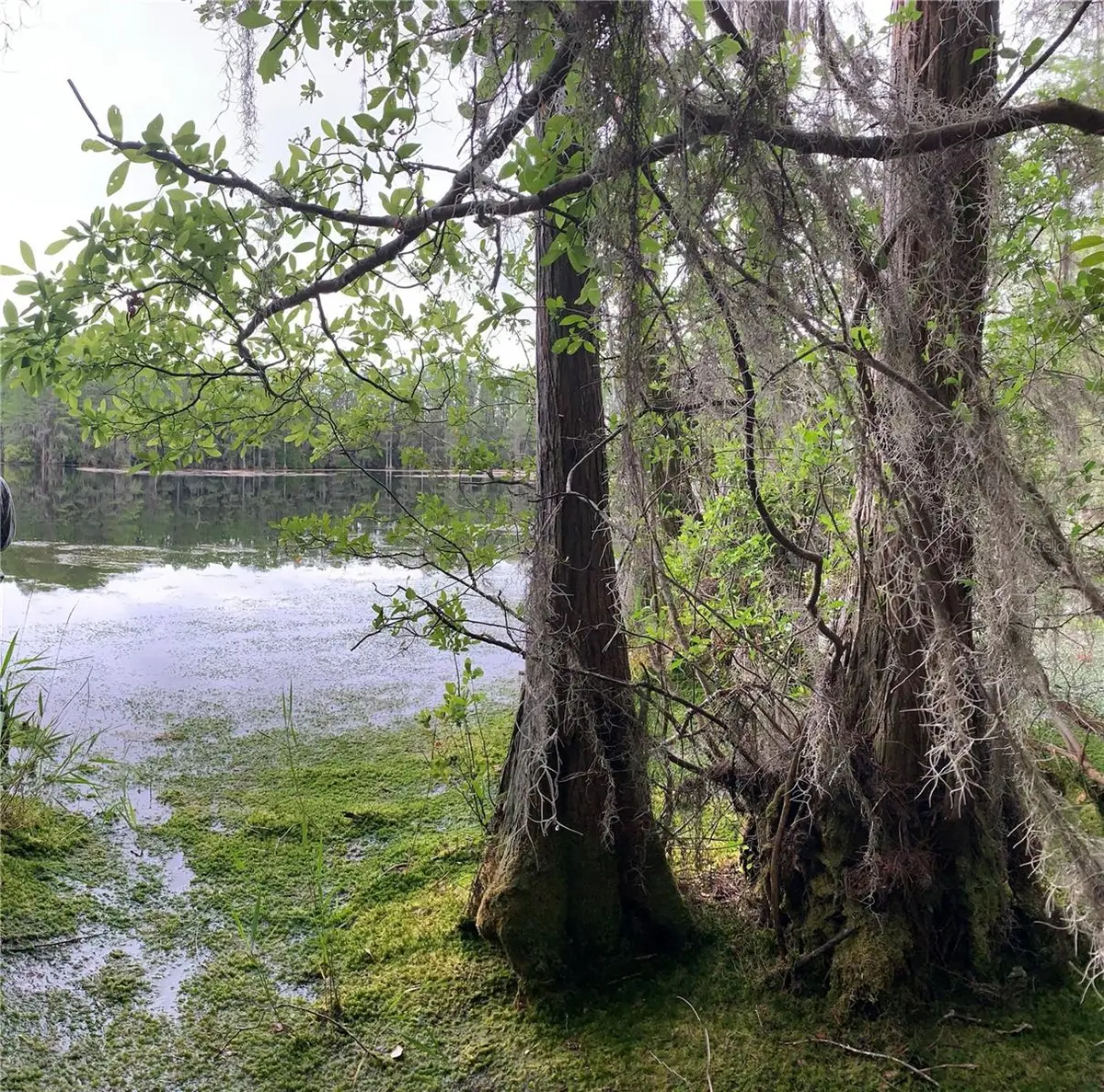 Sw Tower Road, Lee, FL 32059 - Image #1