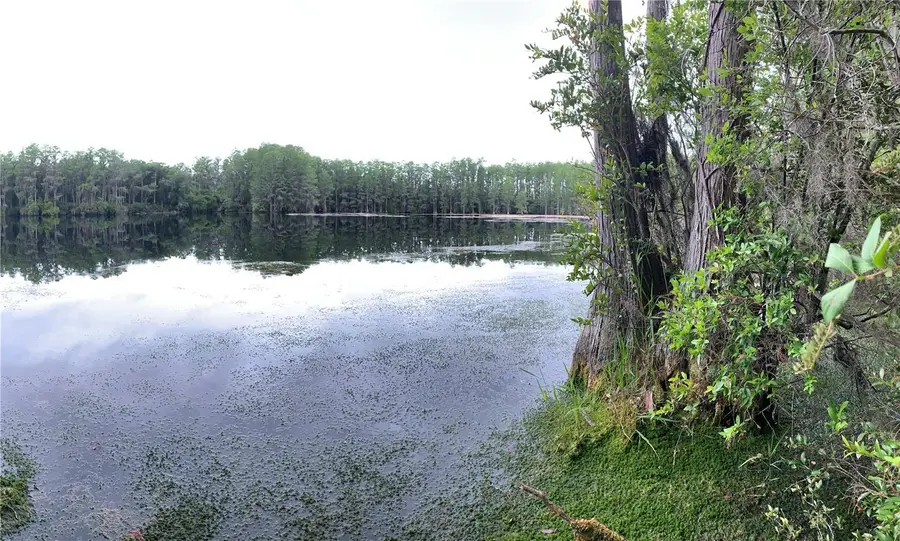 Sw Tower Road, Lee, FL 32059 - Image #3