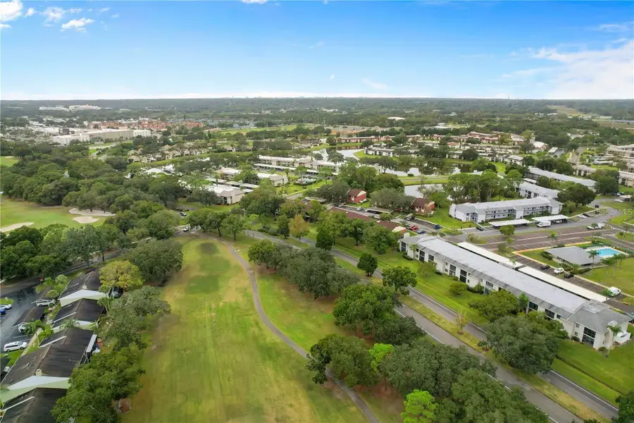 206 Caryl Way #1, Oldsmar, FL 34677 - Image #3