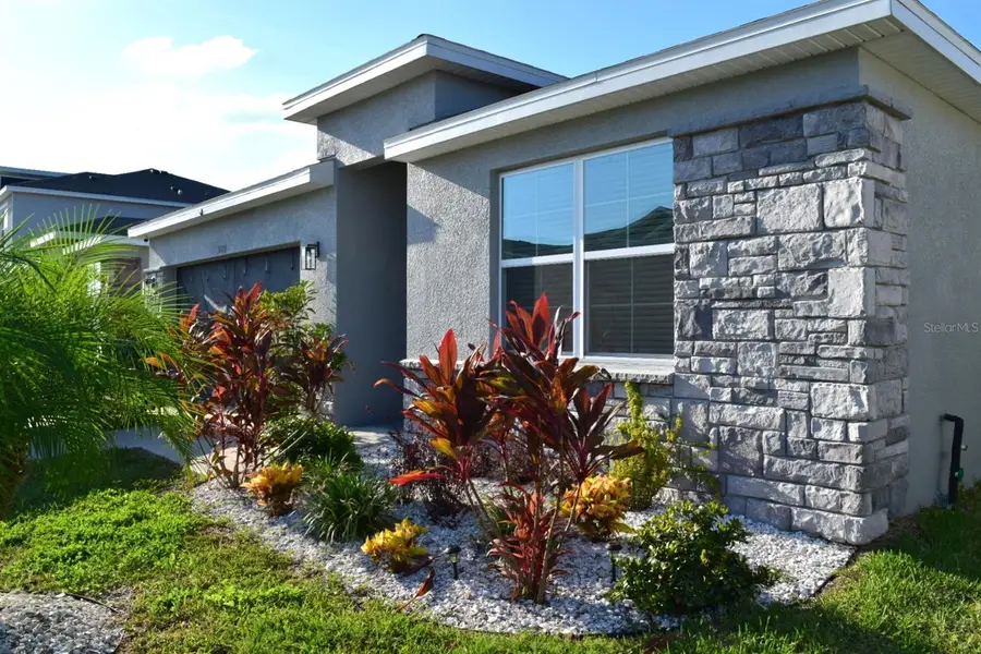 31871 Treasure Dock Isle, Wesley Chapel, FL 33545 - #2