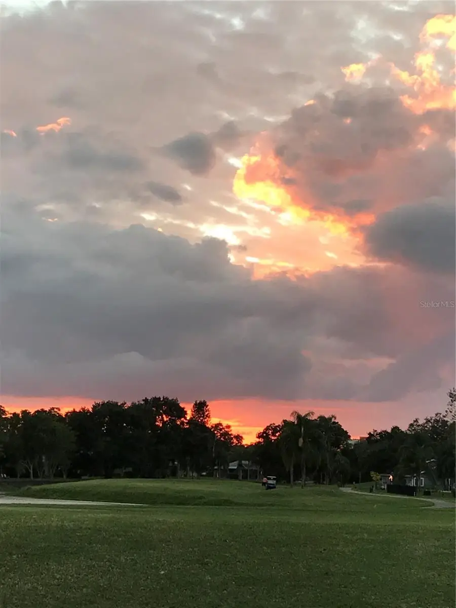 190 Water Oak Way, Oldsmar, FL 34677 - Image #3