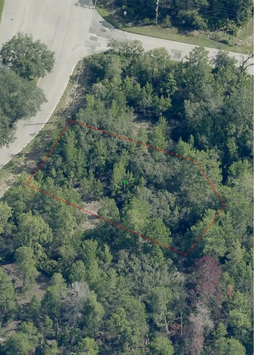 38 Oak Village Boulevard, Homosassa, FL 34446 - Image #1