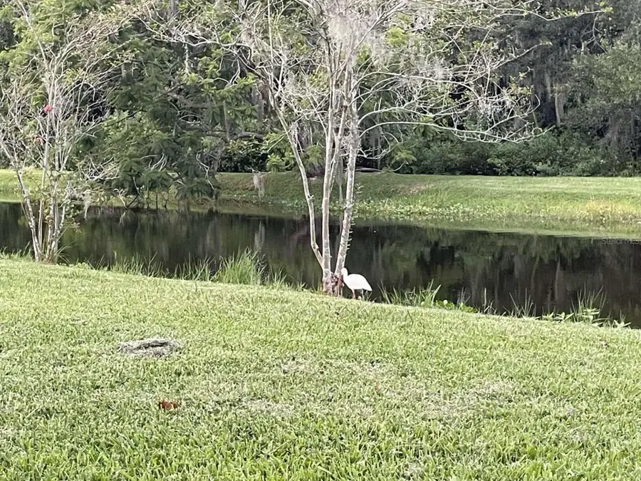 0 Loquat Lane, Sarasota, FL 34232 - Image #2