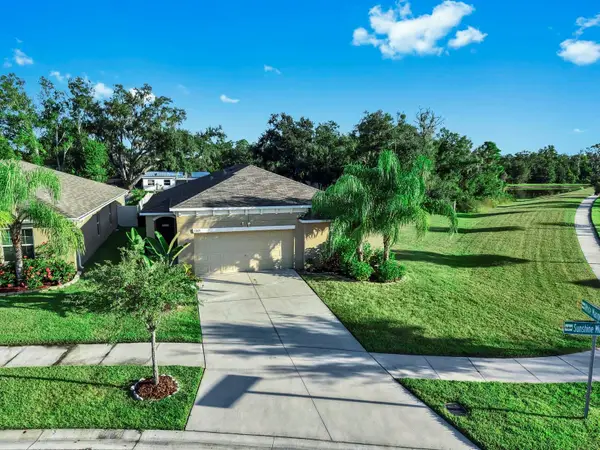 17103 Sunshine Mimosa Street, WIMAUMA, FL 33598