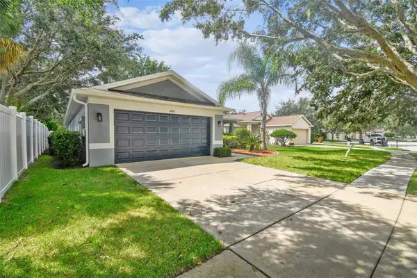 11013 Laurel Brook Court, RIVERVIEW, FL 33569
