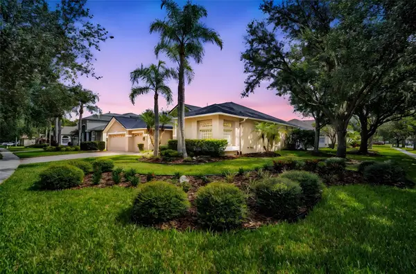 16315 Sambourne Lane, TAMPA, FL 33647