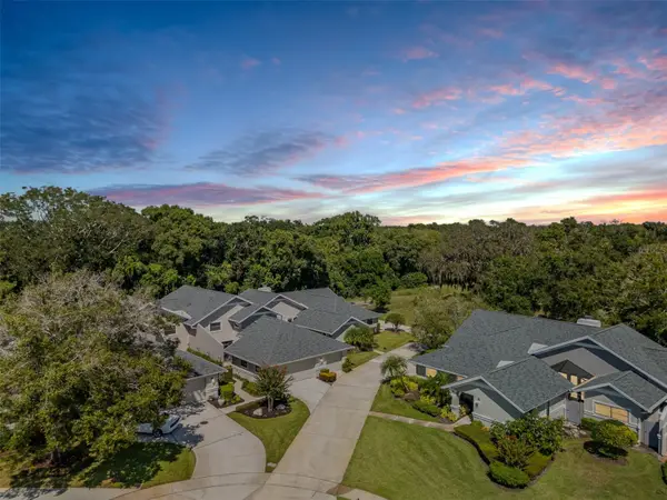 2639 Royal Liverpool Drive, TARPON SPRINGS, FL 34688