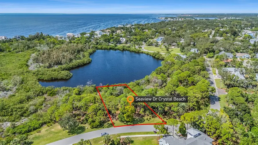 Seaview Drive, Crystal Beach, FL 34681 - Image #2